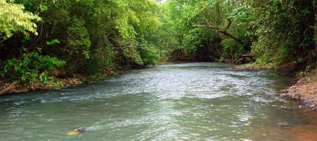 Rio Sao Jose dos Dourados 01